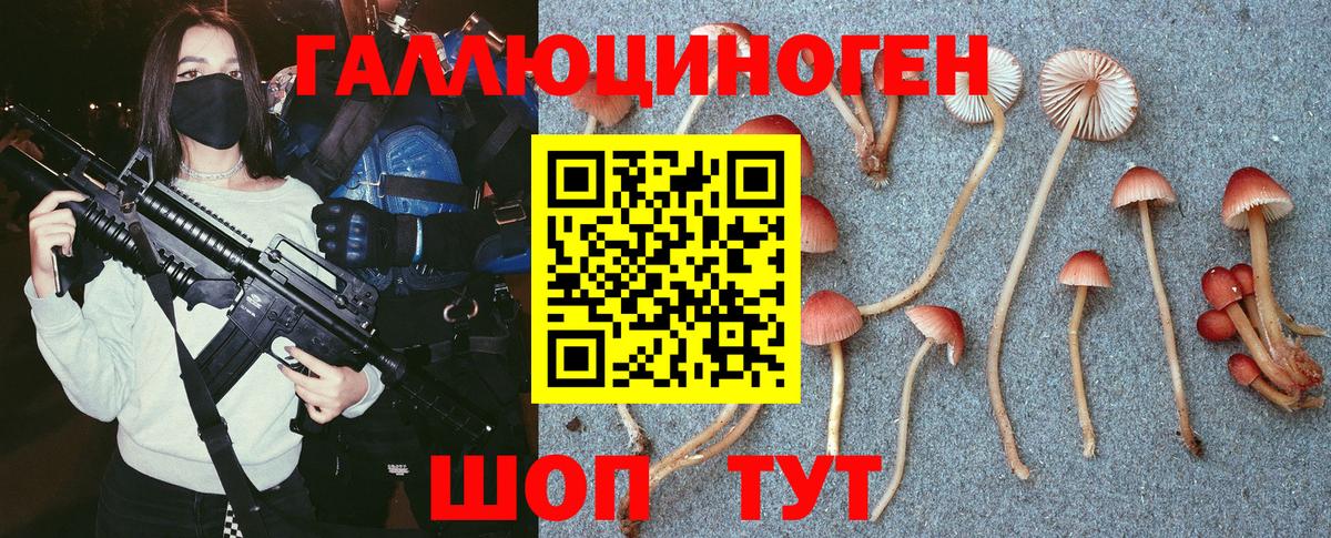 Галлюциногенные грибы Psilocybe Киров
