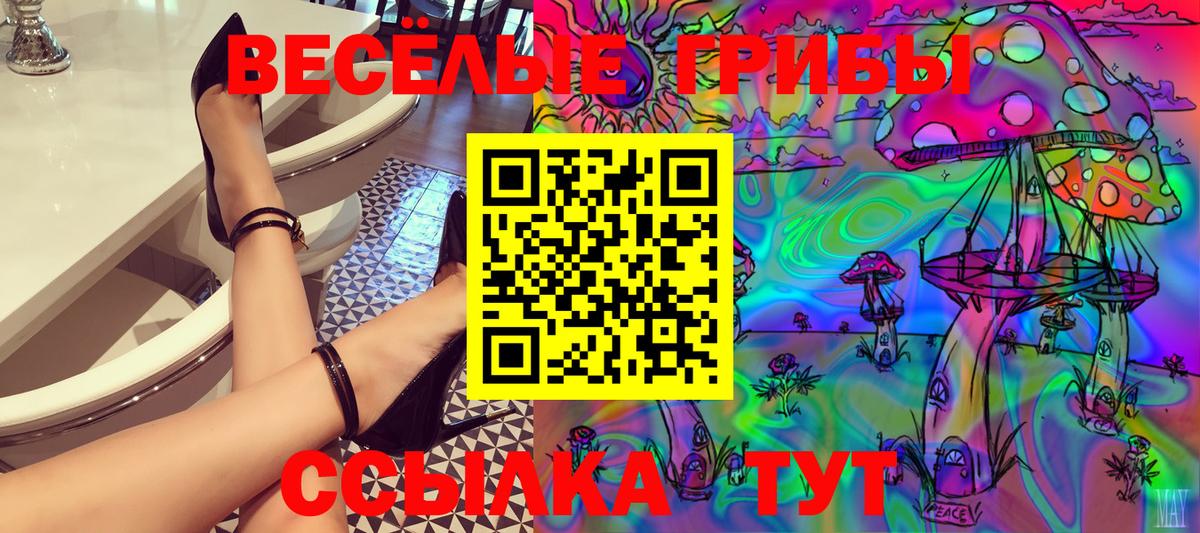 Галлюциногенные грибы Psilocybe  Галлюциногенные грибы Psilocybe  Вход с VPN  Киров 